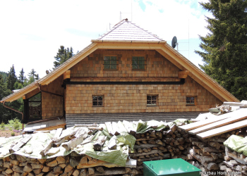 Nikon-August-2012-225